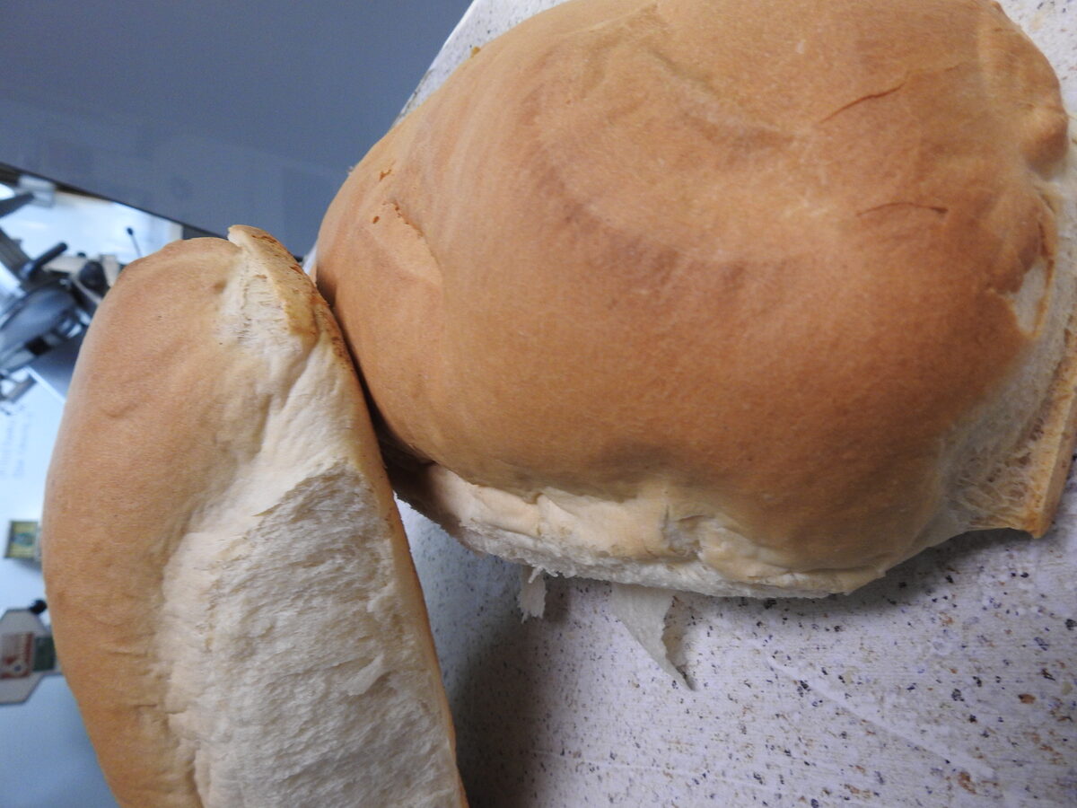 Fresh baked bread